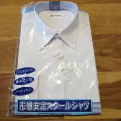 Item thumbnail for item 499e4f7f-0b28-4e64-b089-3120baa2ba97