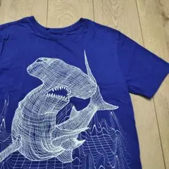 US古着 キッズTシャツ シュモクザメ PLACE ユースL ブルー 青