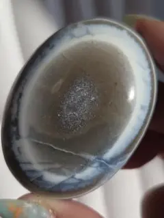 ブルーオパールパーム