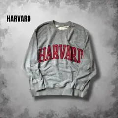 Harvard リバースウィーブスウェット ハーバード大学 刺繍 Vガゼット