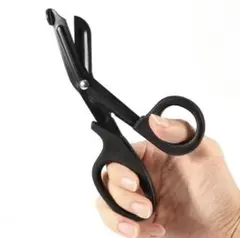 Item thumbnail for item 233ae7f5-aec0-434b-81e5-47a543d1b8da