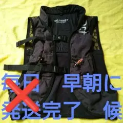 Item thumbnail for item 0a262cea-6e32-4cba-b2ed-2dbf62010b38