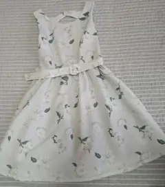 Item thumbnail for item 58f6efe8-5e4f-44ec-a42e-04f52a007c96