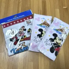 【未開封】ディズニーリゾート ウォッシュタオル タオルハンカチ ３枚セット