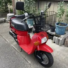 愛用 ホンダスカッシュスチール純正キャリヤ アクセサリー