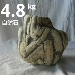 Item thumbnail for item 9c35956a-0e33-4c58-95b4-28ffc6adaccb