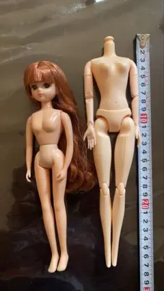 ドールボディのみ、右側１体のみです