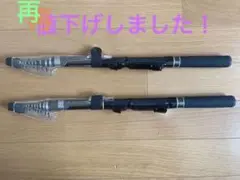 プロマリン PRO MARINE ミニパックサビキ300×2本セット