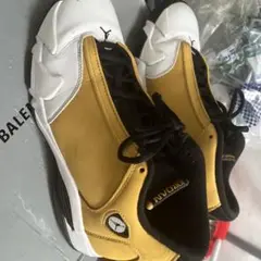 Item thumbnail for item 5316ab25-963c-48ae-977e-6730cee65893