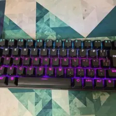 エイペックスプロミニ