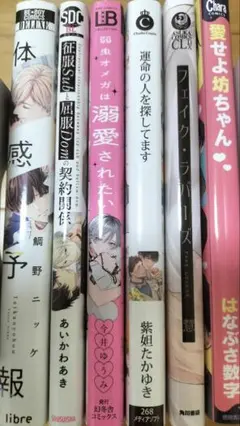 Dセット　blコミックまとめ売り　6冊