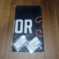 長嶋茂雄　追悼試合　応援タオル＆ステッカー