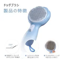 Item thumbnail for item 878c5bc9-d01e-4441-b0eb-085084bd28b2