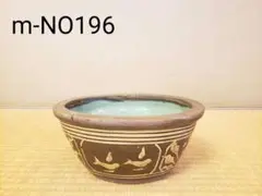 水蓮 めだか鉢