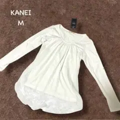 Item thumbnail for item 33959744-1273-4514-bd01-8b092145937d