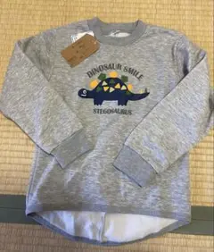 ステゴサウルス トレーナー グレー