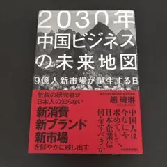2030年中国ビジネスの未来地図
