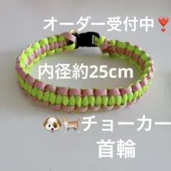 Item thumbnail for item fdb3e610-2bd0-406d-af8c-f6b371d8a3e5