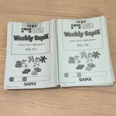 サピックス　SAPIX 6年　国語　志望校別特訓テキスト　1年分　36回