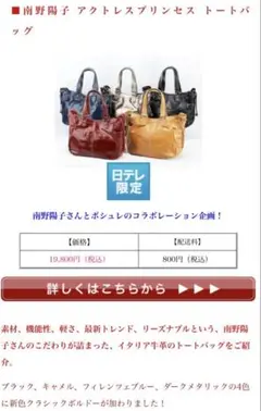 ［破格］南野陽子アクトレスプリンセス　トートバッグ+α