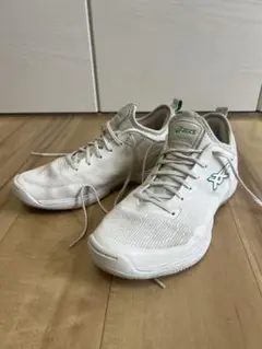 ASICS GLIDENOVAFF2 アシックス グライドノヴァ 26cm