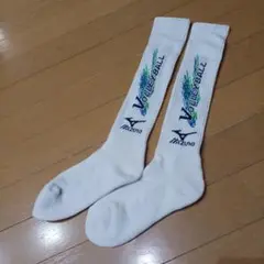 Item thumbnail for item 5eb4ad37-7a99-4e00-b15e-2376501f5d54