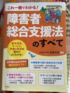 障害者総合支援法のすべて