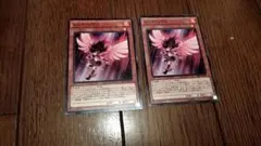 遊戯王 レッド・ノヴァ 1枚 ノーマル／レッドノヴァ