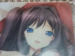 アオイノトリ　赤錆理沙 描き下ろしB5下敷き　ソフマップ特典