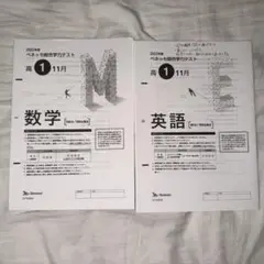2022年 高１11月 ベネッセ総合学力テスト 英数