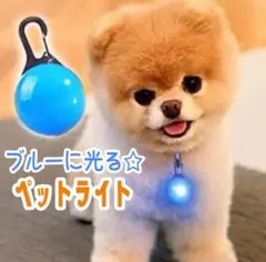 犬 ライト 首輪 リード ペット LED セーフティライト 散歩 ブルー