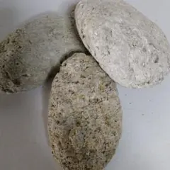 流石です。軽石化しています。