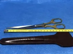 Item thumbnail for item 5e7cd468-332d-438b-add8-5f8d84f94ea1