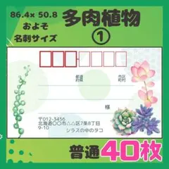【多肉植物①】宛名シール　差出人シール　普通サイズ　40枚　サボテン　植物