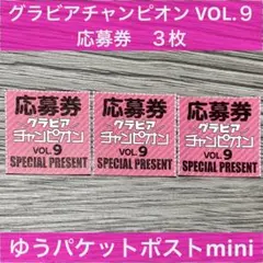 【応募券 ３枚】グラビアチャンピオン VOL.９