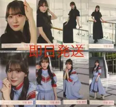 櫻坂46 守屋麗奈　Make or Break MV衣装　8種　生写真