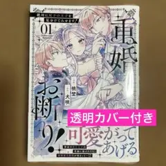 重婚なんてお断り! 絶対に双子の王子を見分けてみせます!
