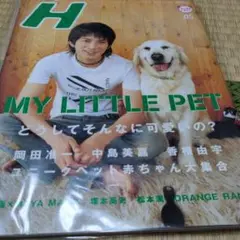 Ｈ　岡田准一中島美嘉香椎由宇MY LITTLE PET 05号 2006年5月号