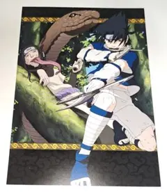 NARUTO ナルト ポストカード 特典 DVD その10