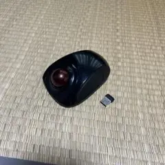 Item thumbnail for item 05213785-5989-4558-88b6-9007caf56e97