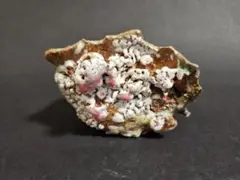 Item thumbnail for item 085fb406-ea42-40cd-a0dc-54ced4f076b7