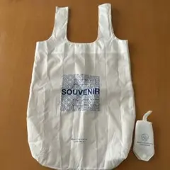 Item thumbnail for item 93345fc5-70ab-4005-93f4-7bdbd2281665