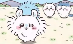 りりさん専用