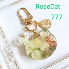 Item thumbnail for item 9c951974-da84-443b-a46a-7c3ba22e763a