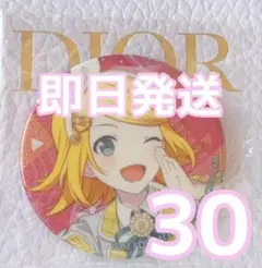 ☆バラ売り可☆ プロセカVol.42C特典鏡音リン30点