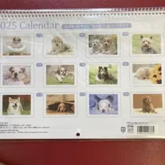 Item thumbnail for item 32c6b70f-e7b3-405e-9d75-71a83455972a