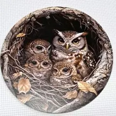フクロウの木製アート 円形