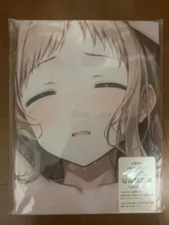 アイドルマスターシャイニーカラーズ 櫻木真乃？ 抱き枕カバー シークレット