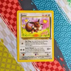 イーブイ Jungle 英語版 Eevee 旧裏
