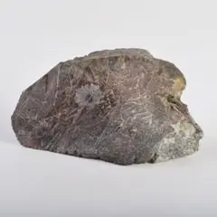 Item thumbnail for item 4ad1862d-0761-47dc-89b7-1997ac42c534